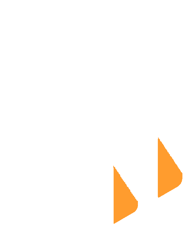 MonieAccess logo
